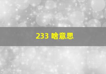 233 啥意思